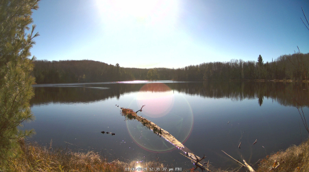 Image from 2024-11-08