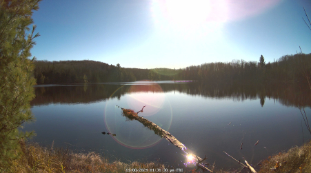 Image from 2024-11-08