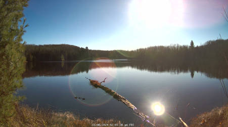 Image from 2024-11-08