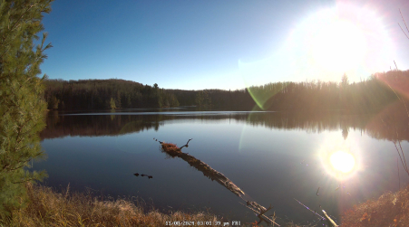 Image from 2024-11-08