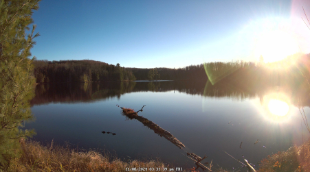 Image from 2024-11-08