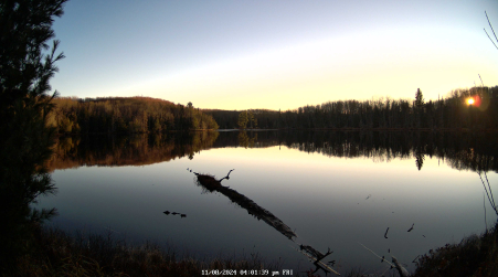 Image from 2024-11-08