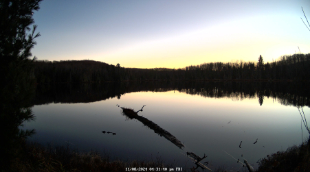 Image from 2024-11-08