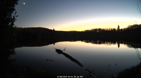 Image from 2024-11-08