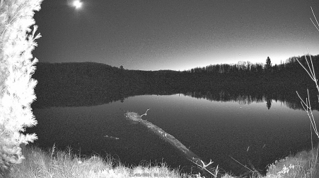 Image from 2024-11-08