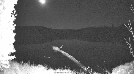 Image from 2024-11-08