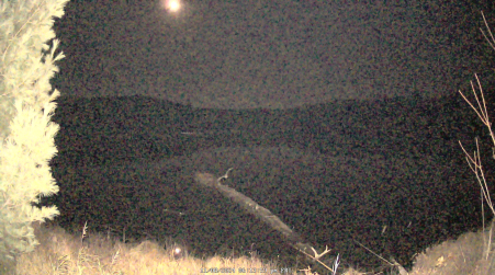 Image from 2024-11-08