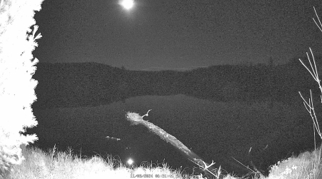 Image from 2024-11-08
