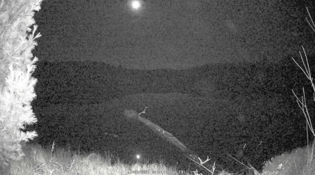 Image from 2024-11-08