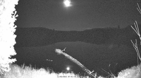 Image from 2024-11-08
