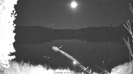 Image from 2024-11-08