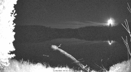 Image from 2024-11-08