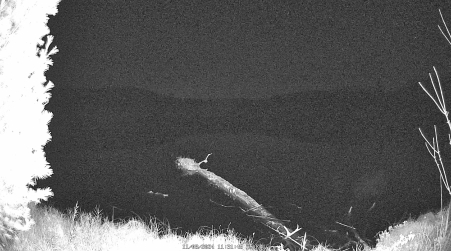 Image from 2024-11-08