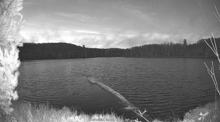 Image from 2024-11-09