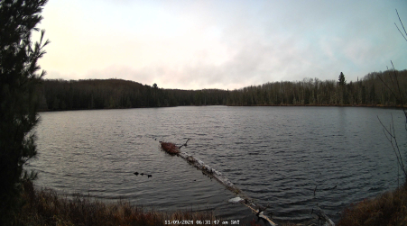 Image from 2024-11-09
