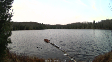 Image from 2024-11-09