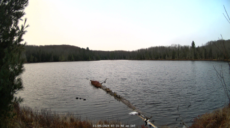 Image from 2024-11-09