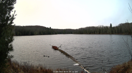 Image from 2024-11-09