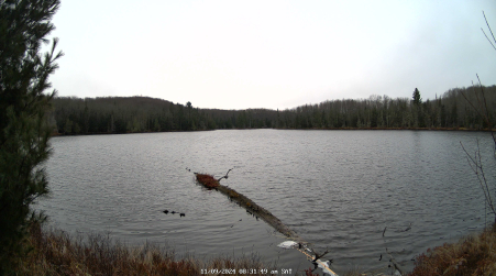 Image from 2024-11-09