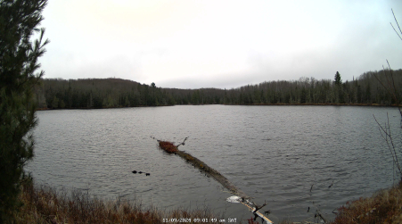 Image from 2024-11-09