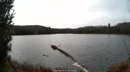 Image from 2024-11-09
