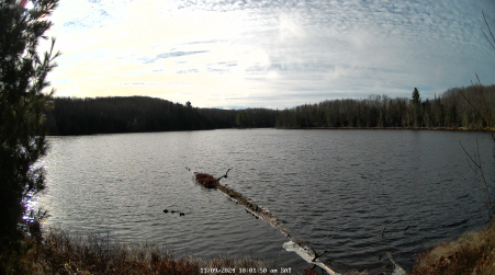 Image from 2024-11-09