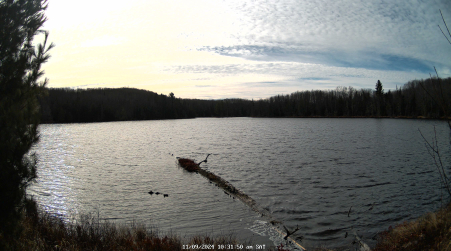 Image from 2024-11-09