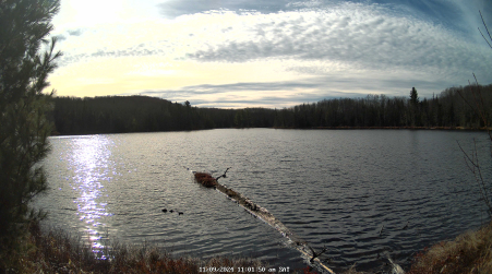 Image from 2024-11-09