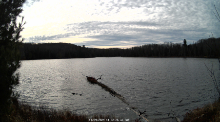 Image from 2024-11-09