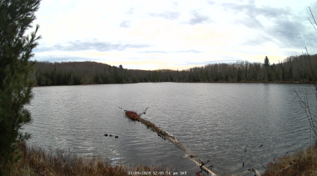 Image from 2024-11-09