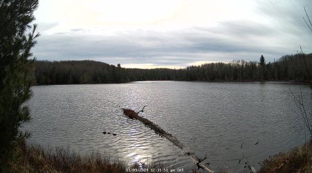 Image from 2024-11-09
