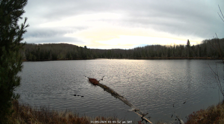 Image from 2024-11-09