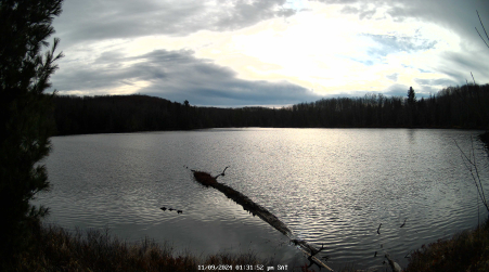 Image from 2024-11-09
