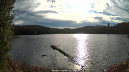 Image from 2024-11-09