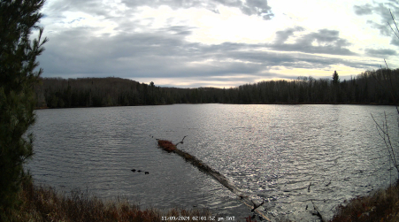 Image from 2024-11-09