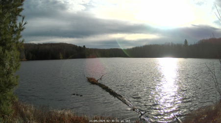 Image from 2024-11-09