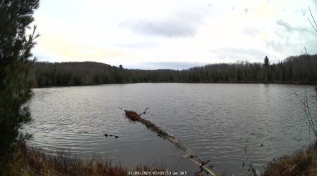 Image from 2024-11-09