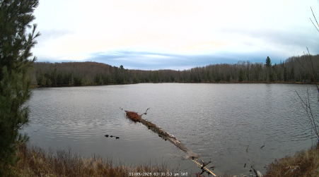 Image from 2024-11-09
