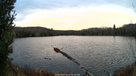 Image from 2024-11-09
