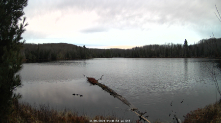 Image from 2024-11-09