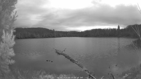 Image from 2024-11-09
