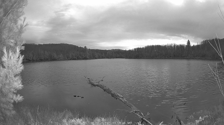 Image from 2024-11-09