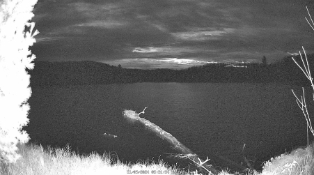 Image from 2024-11-09