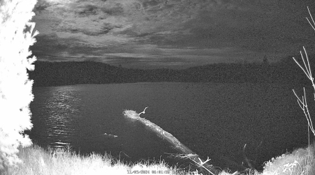Image from 2024-11-09