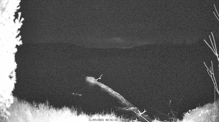 Image from 2024-11-09