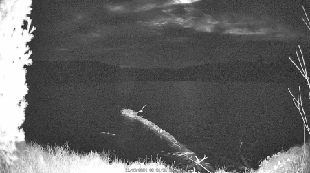 Image from 2024-11-09