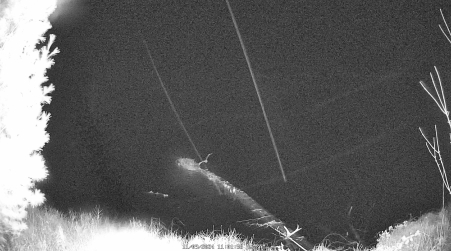 Image from 2024-11-09