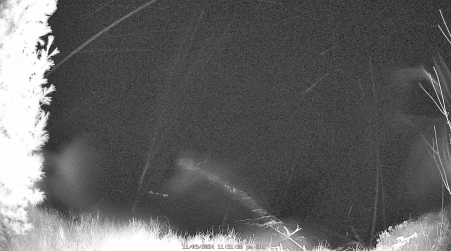 Image from 2024-11-09