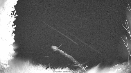 Image from 2024-11-10