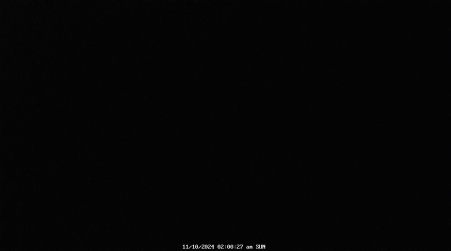 Image from 2024-11-10